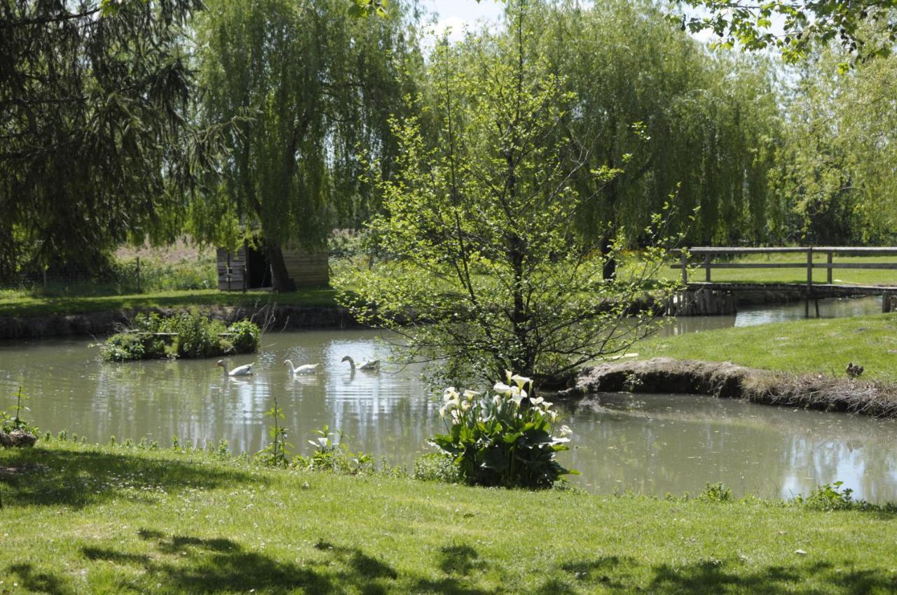 Domaine Ramonjavel, Glamping & Alpaca'S Bed & Breakfast Fongrave Eksteriør bilde