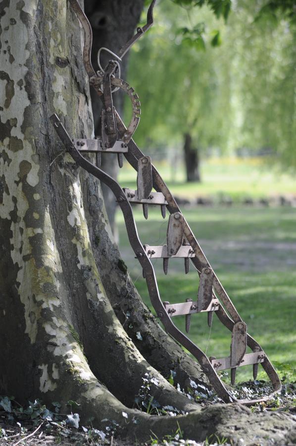 Domaine Ramonjavel, Glamping & Alpaca'S Bed & Breakfast Fongrave Eksteriør bilde