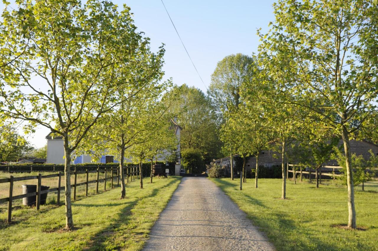 Domaine Ramonjavel, Glamping & Alpaca'S Bed & Breakfast Fongrave Eksteriør bilde