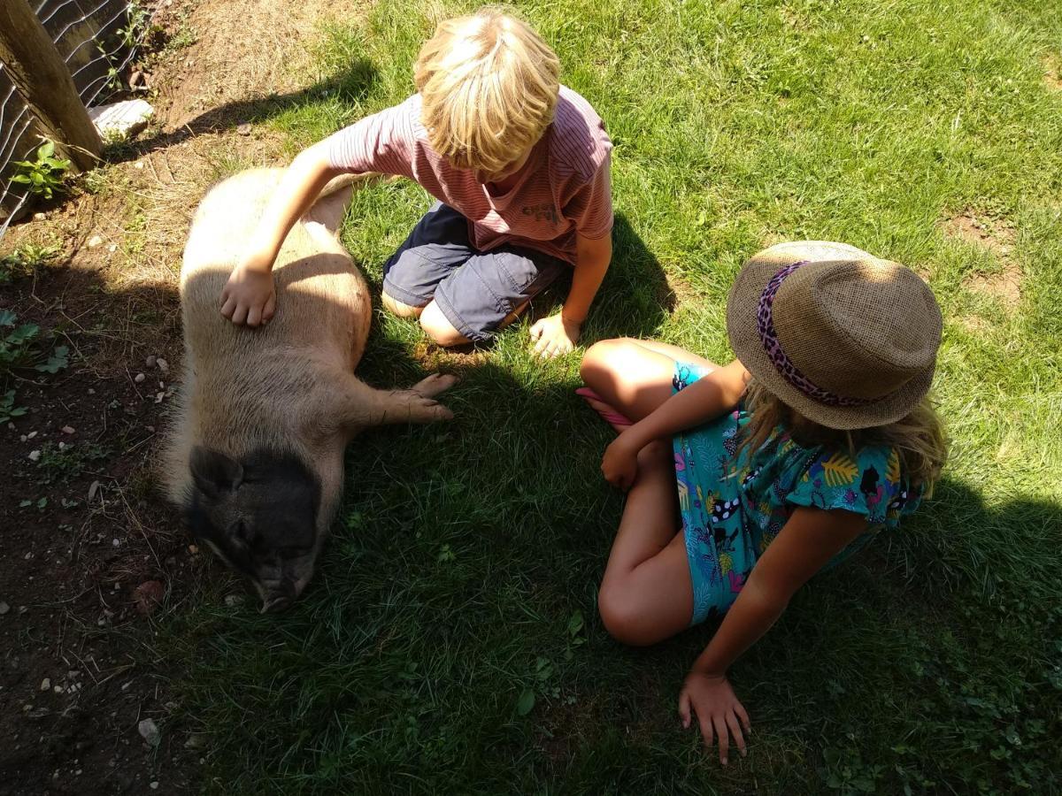 Domaine Ramonjavel, Glamping & Alpaca'S Bed & Breakfast Fongrave Eksteriør bilde
