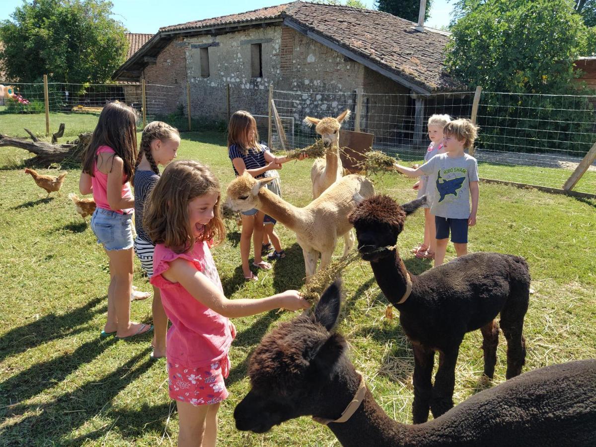 Domaine Ramonjavel, Glamping & Alpaca'S Bed & Breakfast Fongrave Eksteriør bilde