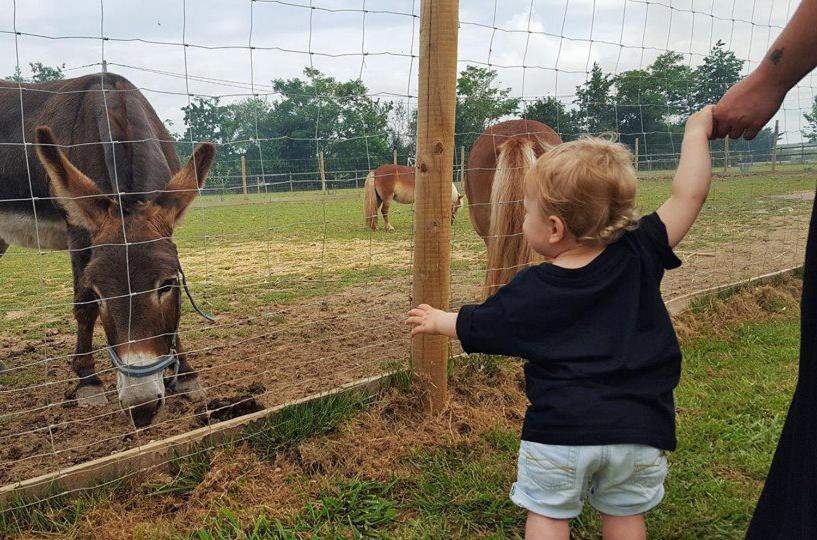 Domaine Ramonjavel, Glamping & Alpaca'S Bed & Breakfast Fongrave Eksteriør bilde